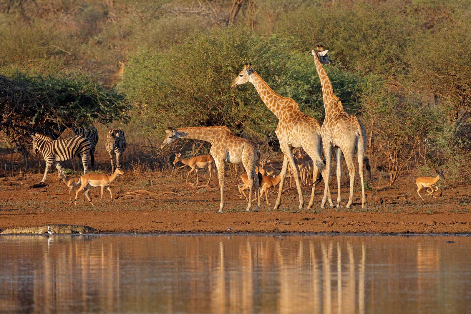 Tarangire National Park