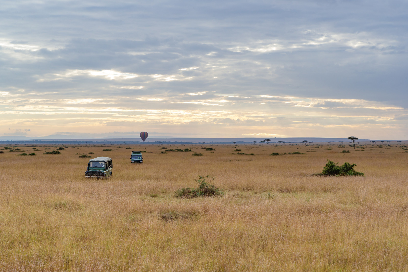 Why the Journey Is Just as Beautiful as the Destination on a Tanzania Safari