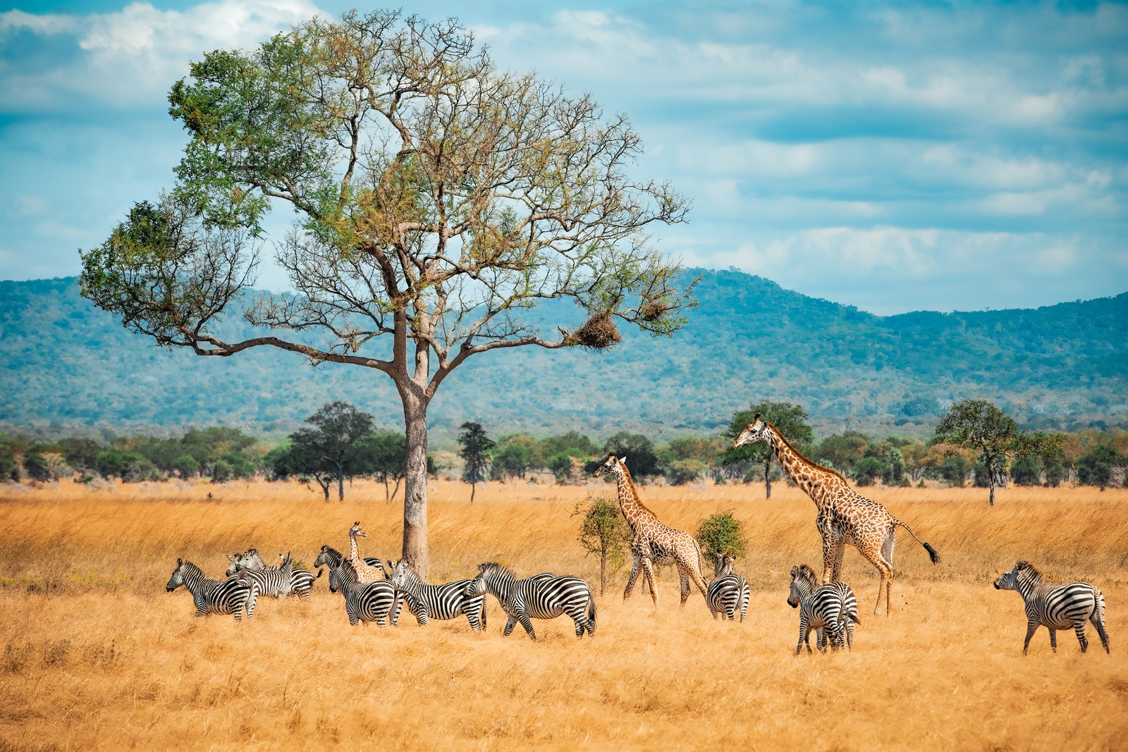 Lake Manyara